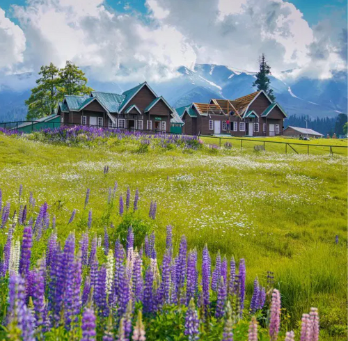 Untitled design – 2025-11-26T161432.432